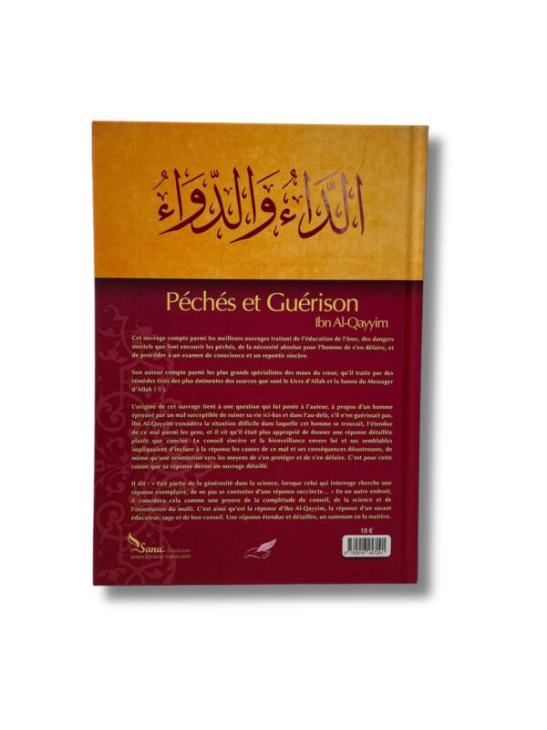 PÉCHÉS ET GUÉRISON – Image 2