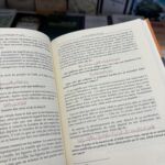 LES INTRIGUES DU DIABLE – Image 2