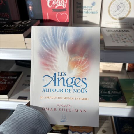 LES ANGES AUTOUR DE NOUS - 30 APERÇUS DU MONDE INVISIBLE