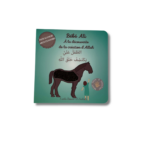 BÉBÉ ALI À LA DÉCOUVERTE DE LA CREATION D’ALLAH (livre à toucher)