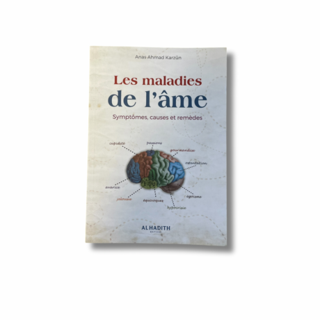 LES MALADIES DE L’ÂME