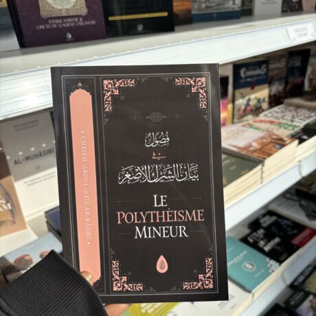 LE POLYTHÉISME MINEUR