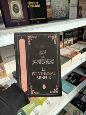 LE POLYTHÉISME MINEUR