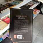 LE POLYTHÉISME MINEUR – Image 2
