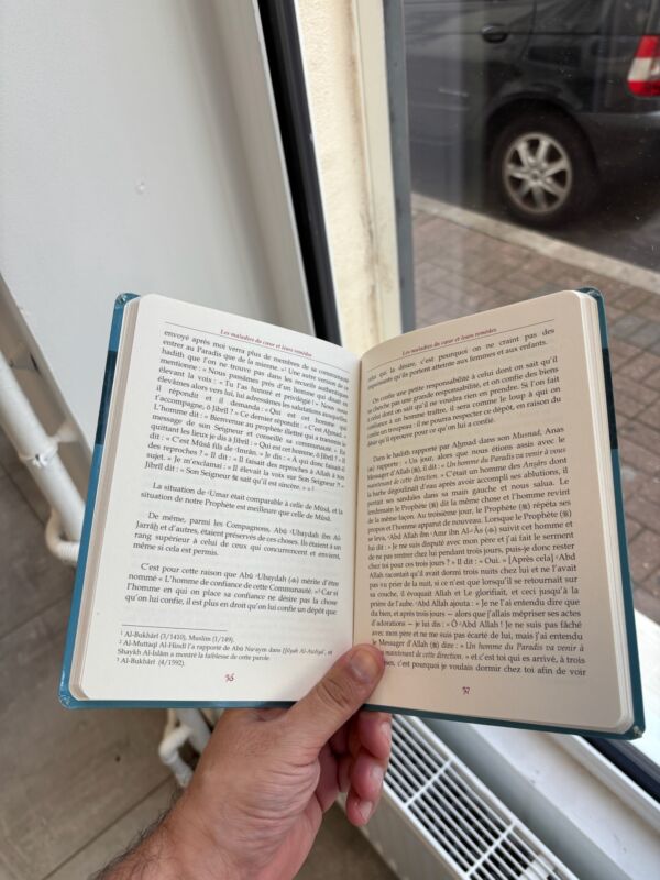 LES MALADIIES DU COEUR - Shaykh Al Islam Ibn Taymiyyah (éditions tawbah) – Image 3
