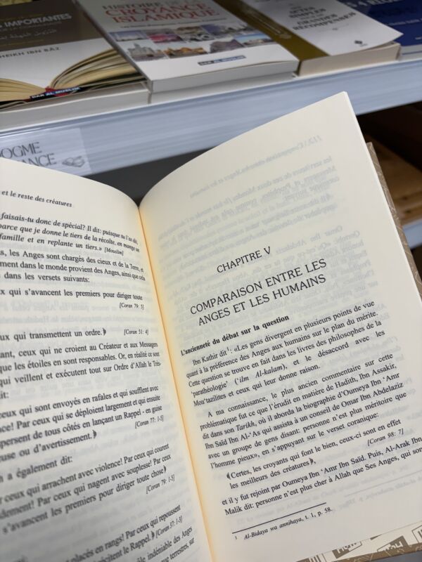 LE MONDE DES ANGES - Dr Omar Al Achqar - N°2/8 (editions IIPH) – Image 2