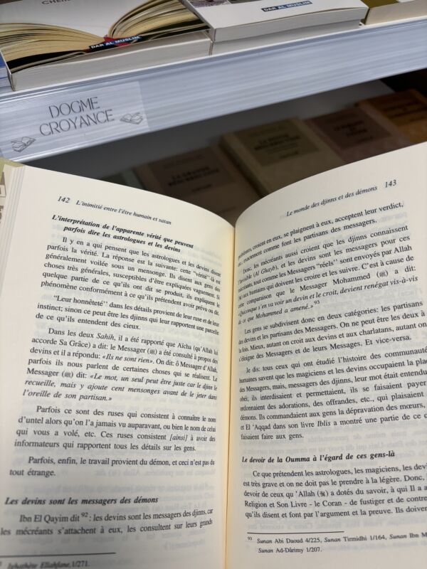 LE MONDE DES DJINNS ET DES DÉMONS - Dr Omar Al Achqar - N°3/8 (editions IIPH) – Image 3