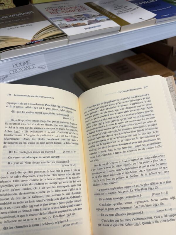 LA GRANDE RÉSURRECTION - Dr Omar Al Achqar - N°6/8 (editions IIPH) – Image 3