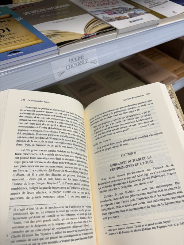 LA PETITE RÉSURRECTION - Dr Omar Al Achqar - N°5/8 (editions IIPH) – Image 3