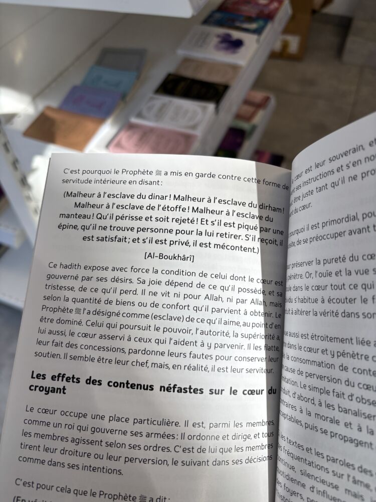 L’AGENCE RÈGLE TOUT - 1.MAUVAISE INFLUENCE (editions bdouin) – Image 4