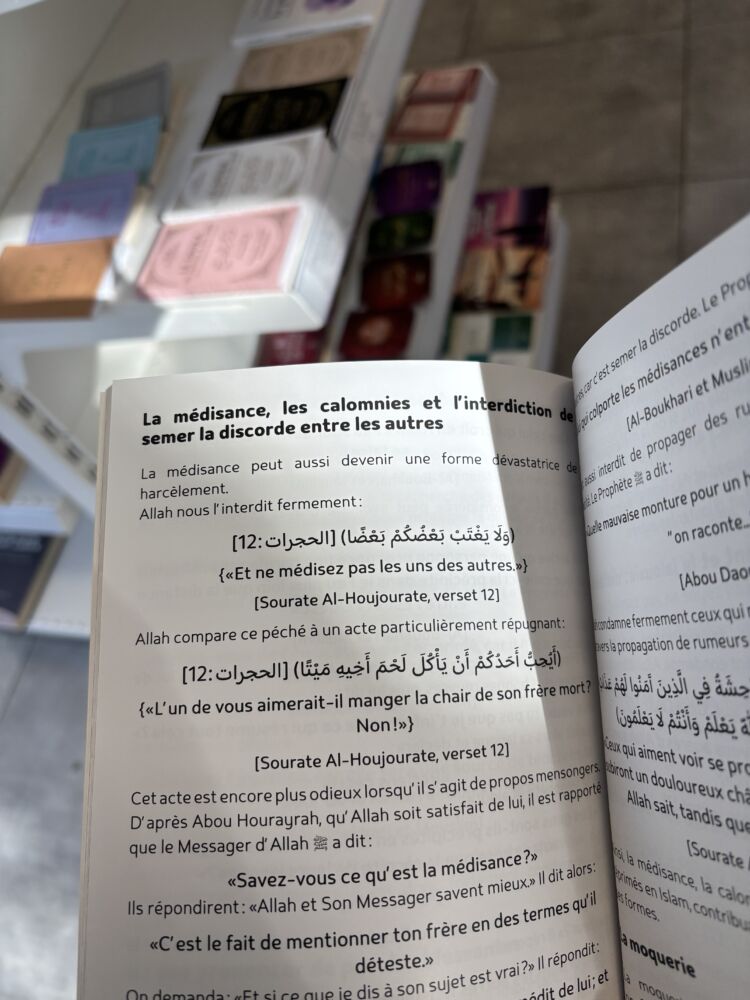 L’AGENCE RÈGLE TOUT - 3.LES HARCELEURS (editions bdouin) – Image 3