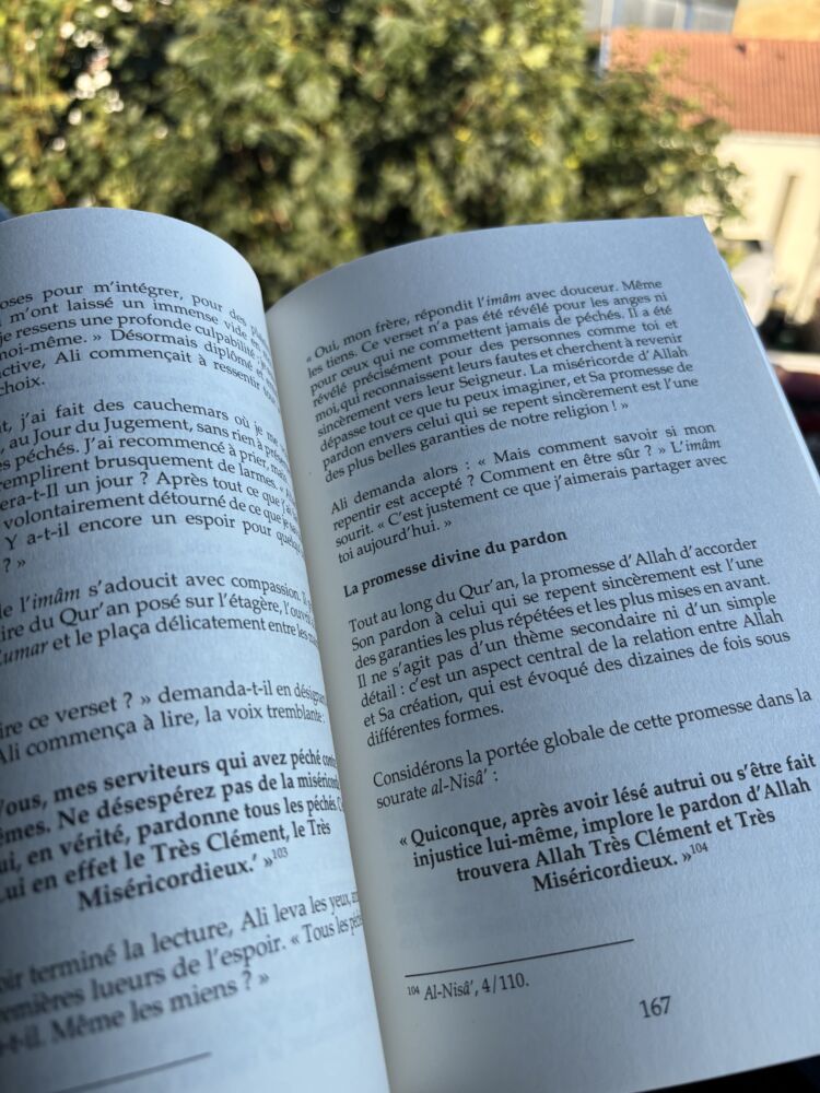 LES PROMESSES D’ALLAH. 27 ENGAGEMENTS ÉTERNELS DE VOTRE SEIGNEUR - Suleiman Hani (éditions muslimcity) – Image 3